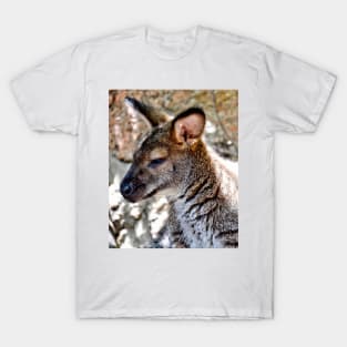 Wallaby T-Shirt